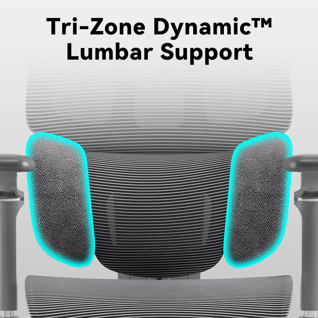 MUSSO H80 Pro FlexiPosture Ergonomic Office Chair