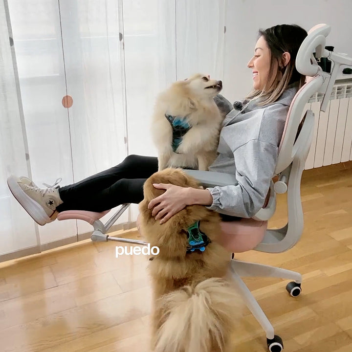 Musso e600 office chair