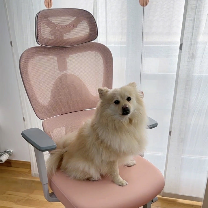 musso E600 ergonomic chair