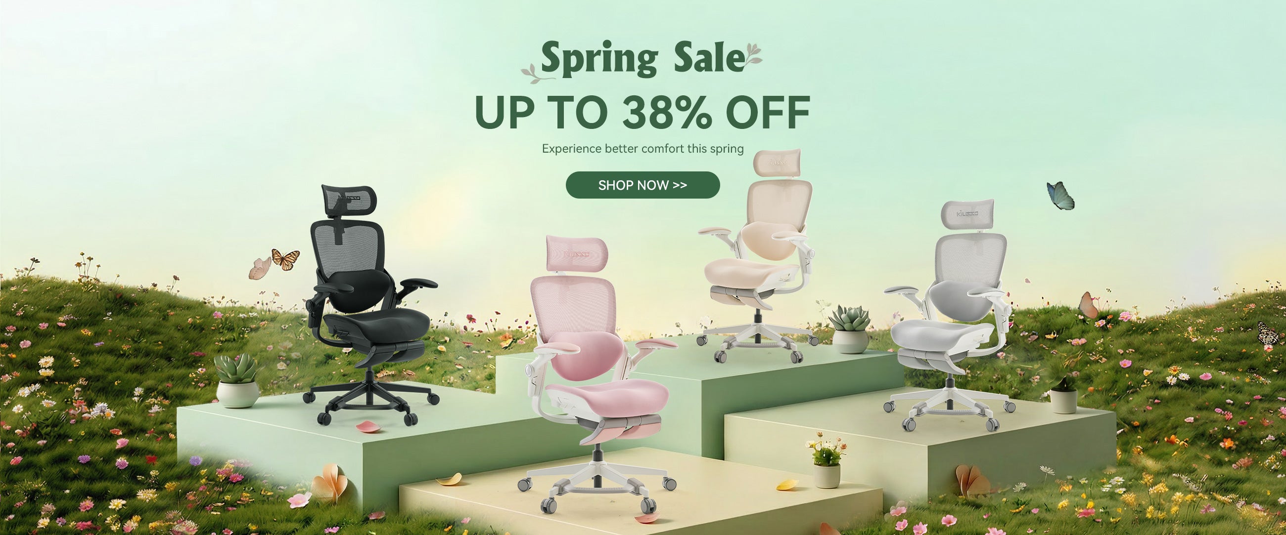 Spring Festival Promotion