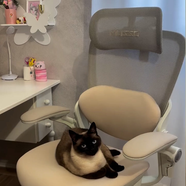 musso E80 ergonomic chair